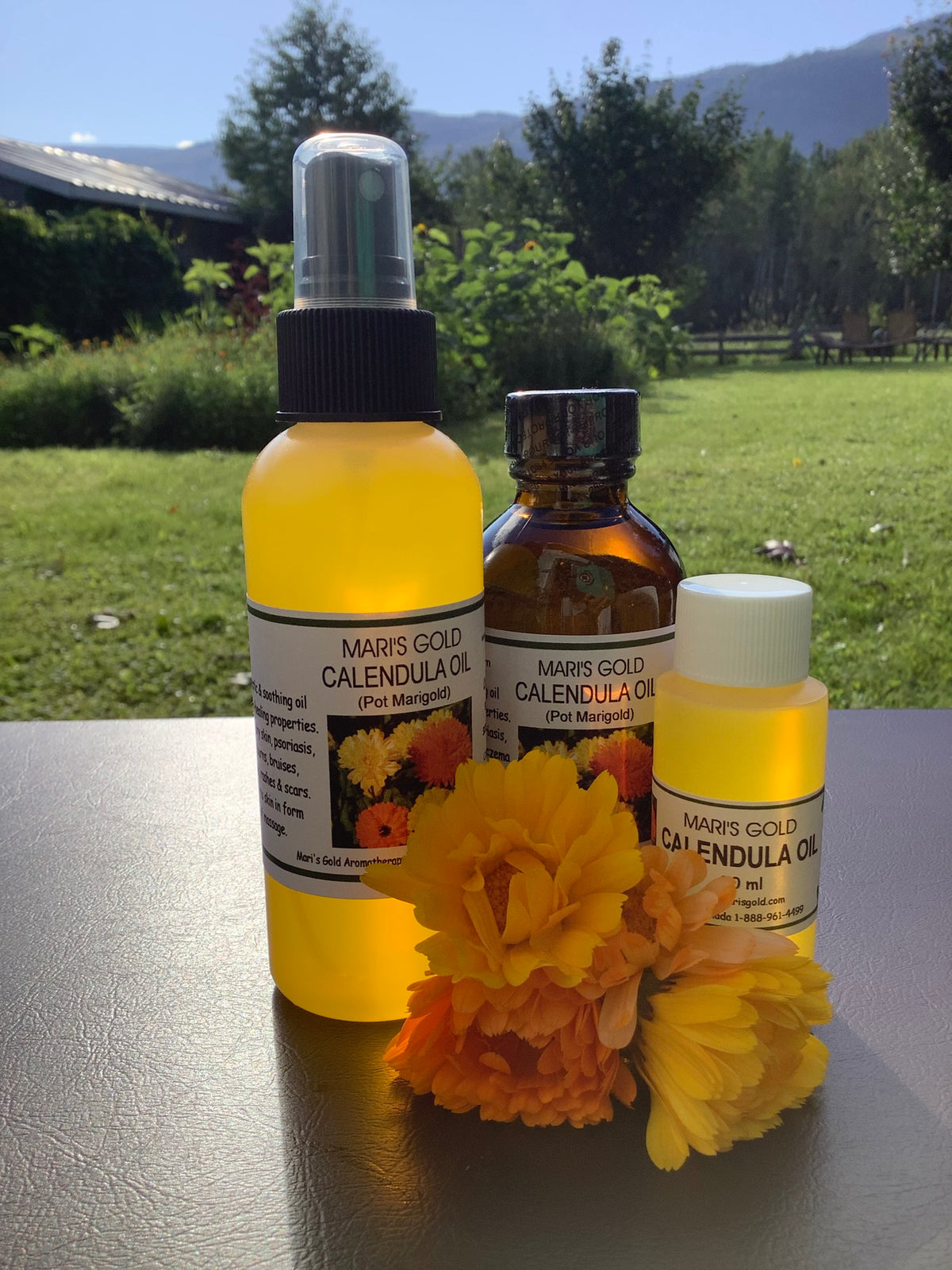 Calendula for Rashes & Skin Sensitivity