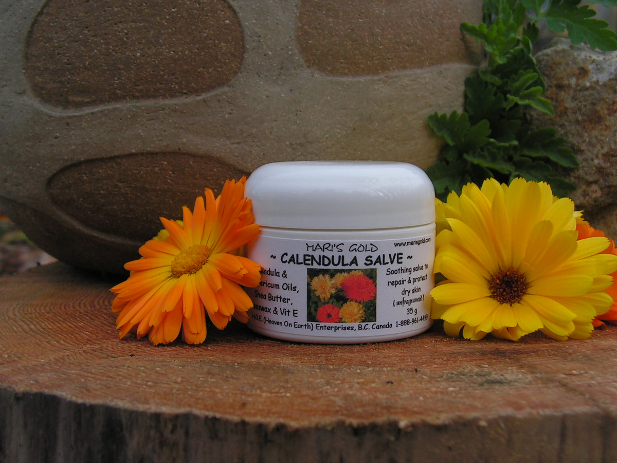 Calendula Salve for Dry Skin