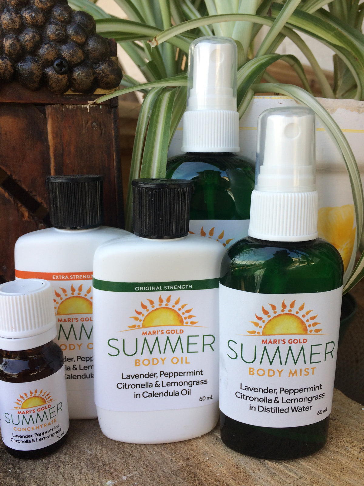 Summer Body Products 2021