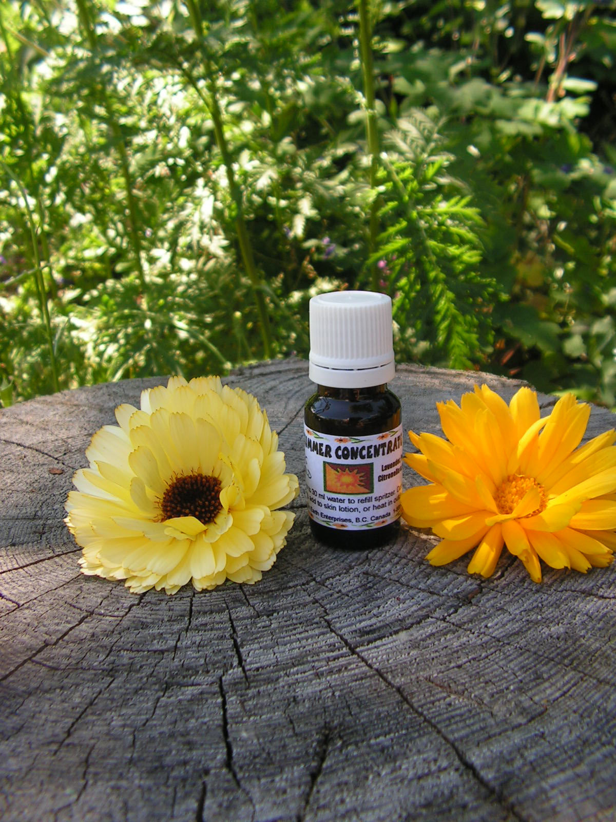 Mari's Gold Summer Concentrate