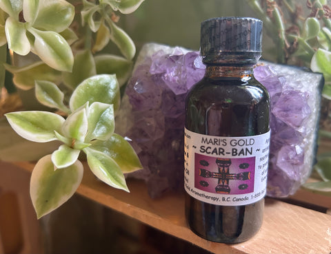 Scar Ban - 30 ml