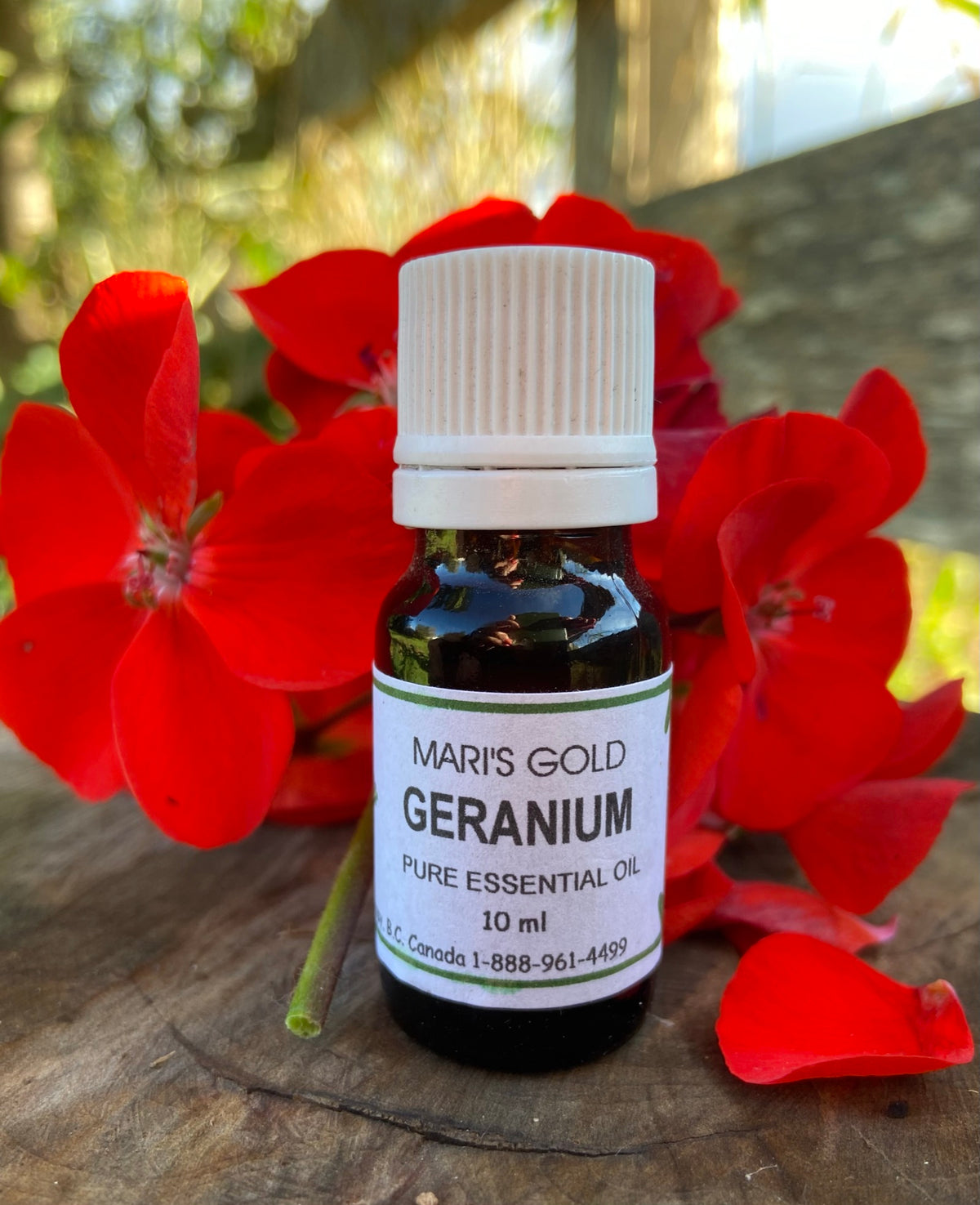 Geranium - 10 ml