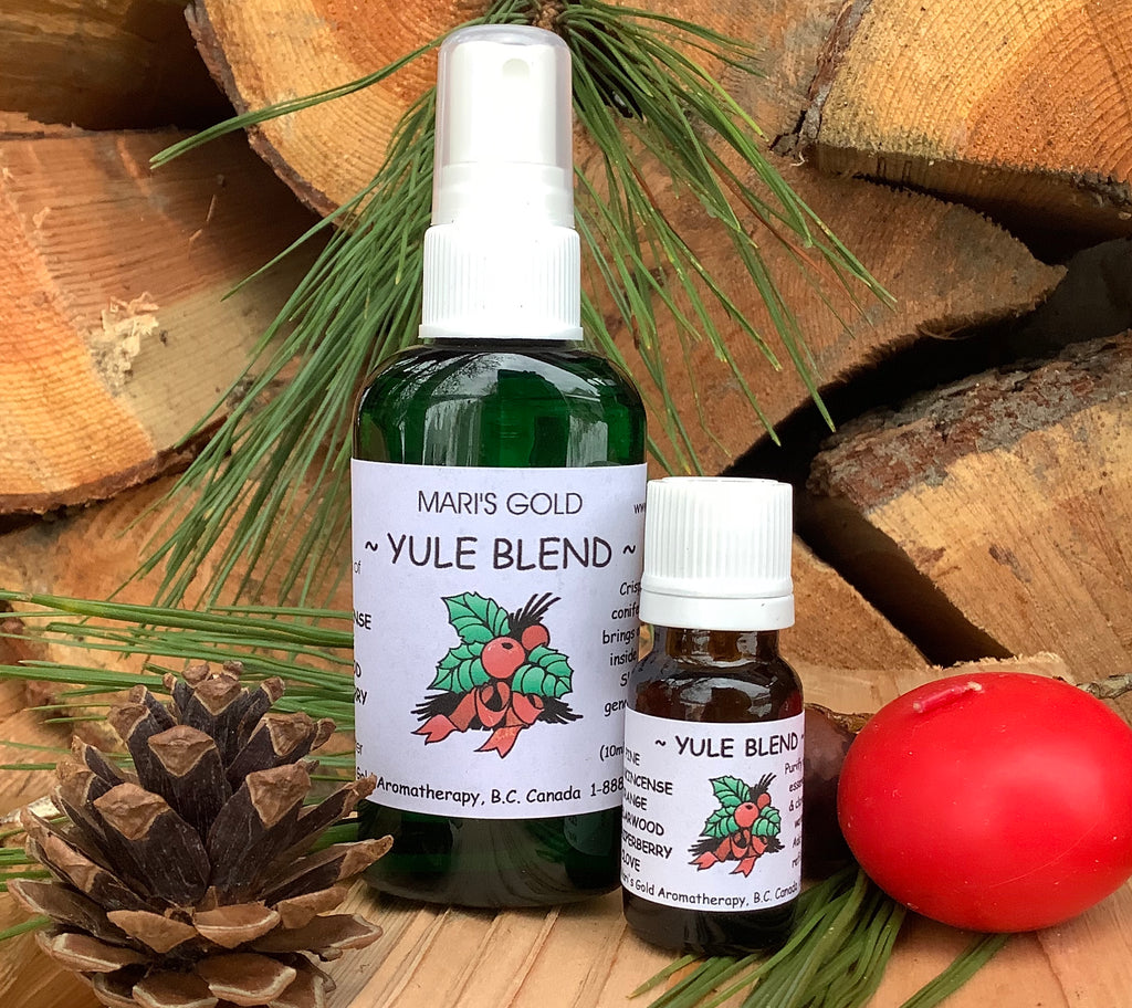 Yule Blend Concentrate - 10 ml