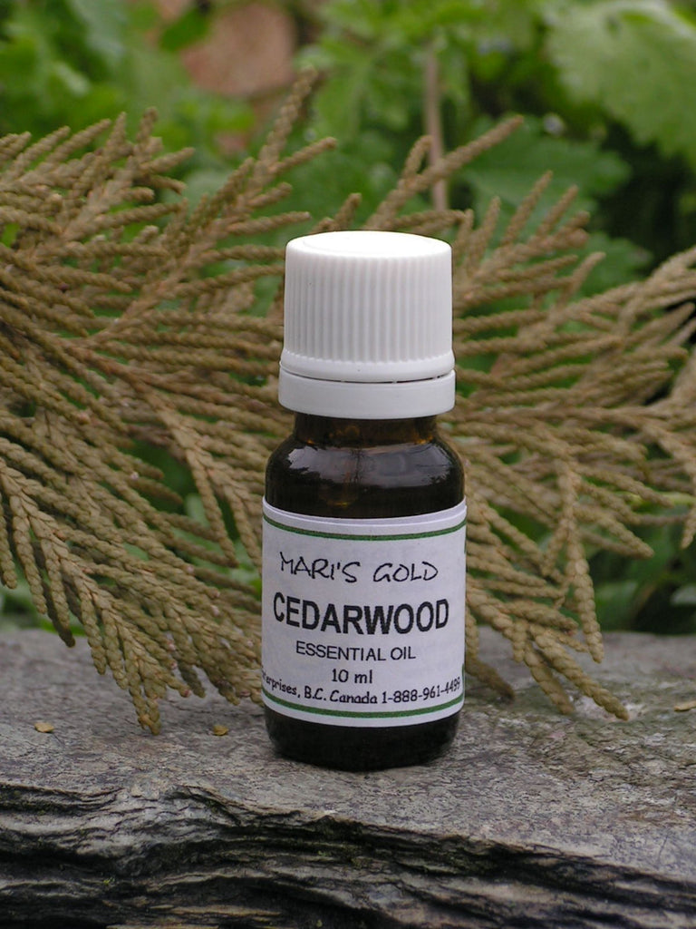 Cedarwood - 10 ml