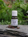 Clove - 10 ml