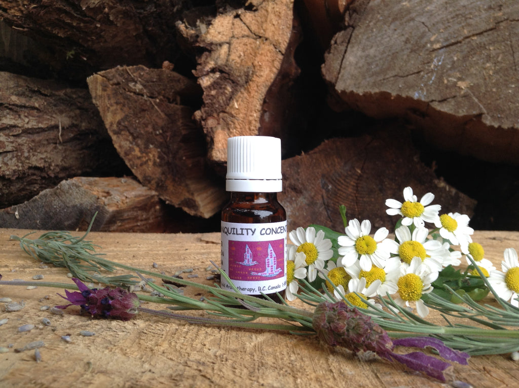 Tranquility Concentrate - 10 ml