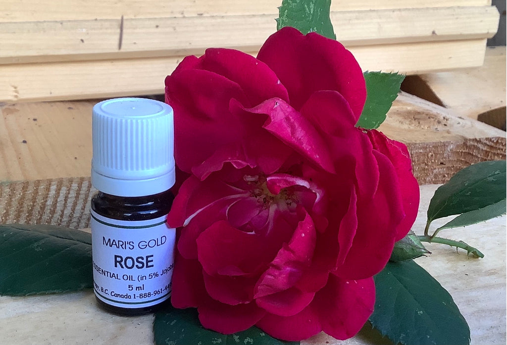 Rose  🌹 10 ml