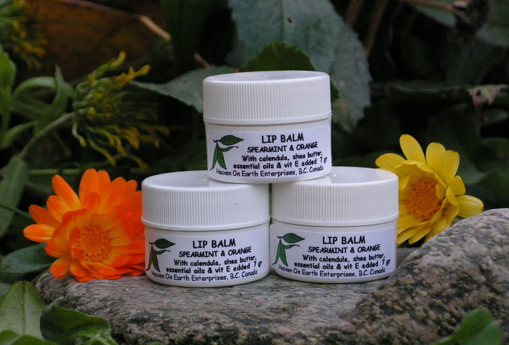 Lip Balm