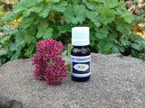 Natural Love Aromatherapy - Made in Canada - Essential Oil - Diffuser