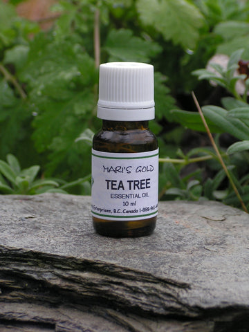 Tea Tree - 10 ml