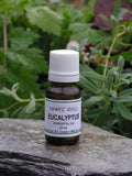 Eucalyptus - 10 ml