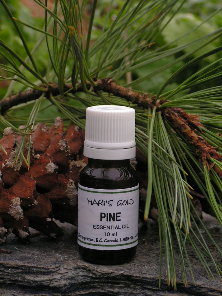 Pine (Balsamic Fir) - 10 ml
